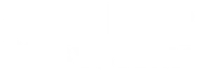 FLIR Systems