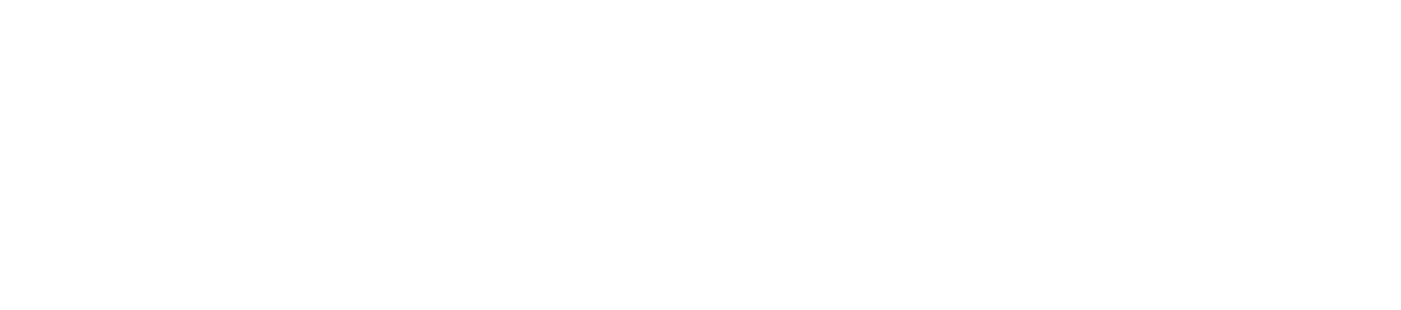 CAVU Media Group